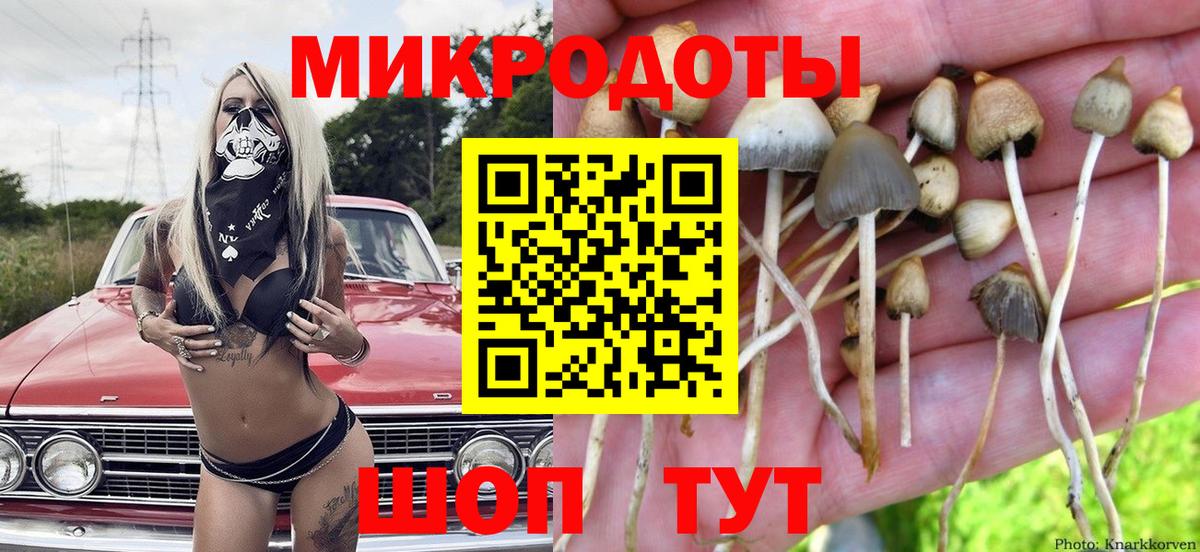 Новодвинск  Галлюциногенные грибы MAGIC MUSHROOMS  даркнет сайт  Вход с VPN 